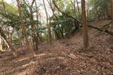 讃岐 大麻山城の写真