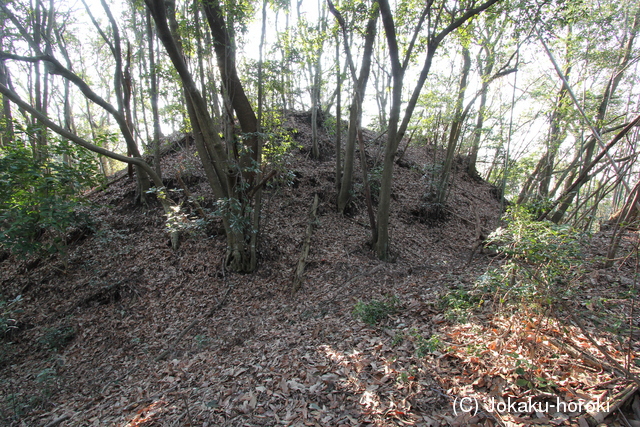 讃岐 音川城の写真