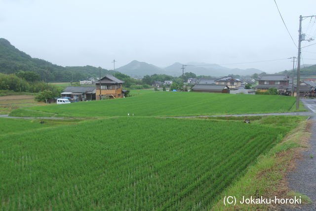 讃岐 大井城の写真