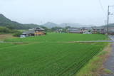 讃岐 大井城の写真