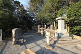 讃岐 関城の写真