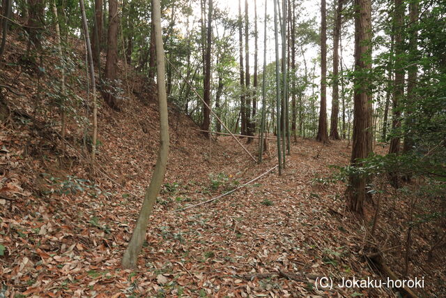 讃岐 橘城の写真