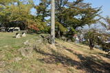讃岐 多度津城の写真