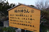 讃岐 高木城の写真