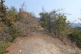 讃岐 高壺城の写真