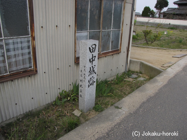 讃岐 田中城の写真