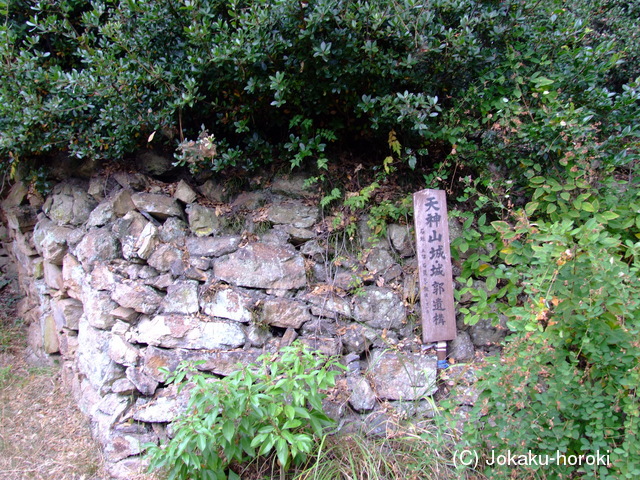 讃岐 天神山城の写真