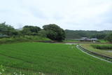 讃岐 天王の森陣屋の写真