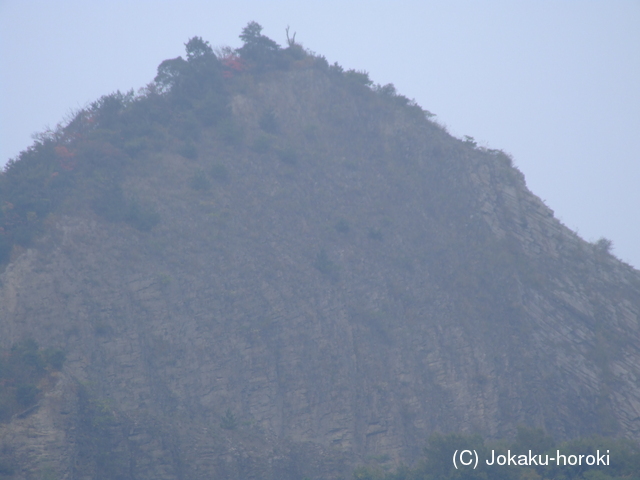 讃岐 爺神山城の写真