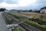 讃岐 友信土居館の写真