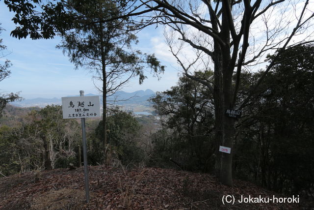 讃岐 鳥越山城の写真