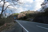 讃岐 鳥屋城の写真