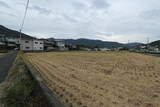 讃岐 植松城の写真
