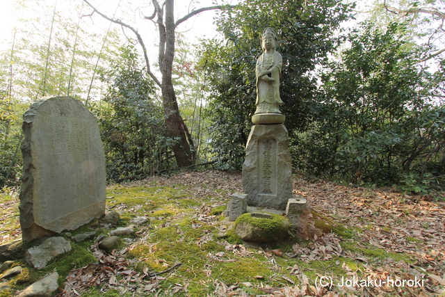 讃岐 牛川城の写真