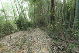 讃岐 牛川城の写真