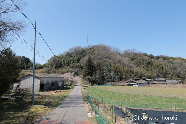 讃岐 若狭城の写真