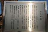 讃岐 由佐城の写真
