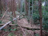 薩摩 穴ヶ城の写真