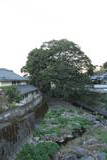 薩摩 堂崎城の写真