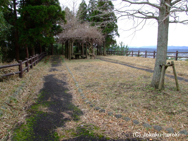 薩摩 平山城の写真