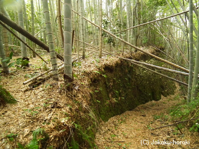 薩摩 比志島城の写真