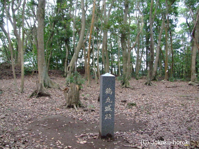 薩摩 市来鶴丸城の写真