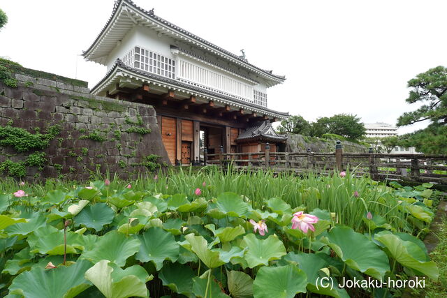 薩摩 鹿児島城の写真