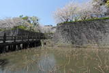 薩摩 鹿児島城の写真