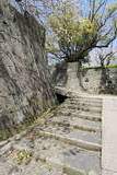 薩摩 鹿児島城の写真