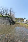 薩摩 鹿児島城の写真