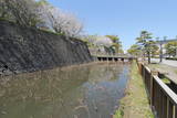 薩摩 鹿児島城の写真