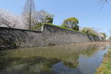 薩摩 鹿児島城の写真