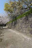 薩摩 鹿児島城の写真