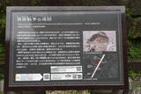 薩摩 鹿児島城の写真
