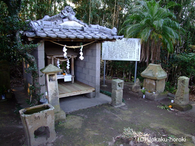 薩摩 鎌田氏居城の写真