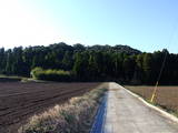 薩摩 亀山城の写真