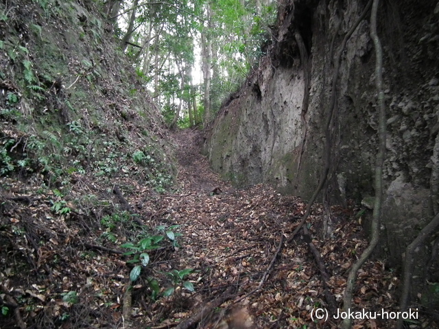 薩摩 小山田城の写真