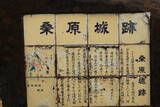 薩摩 桑原城の写真