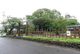 薩摩藩 野間関所写真