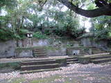 薩摩 東福寺城の写真