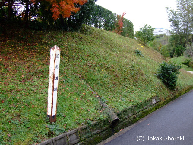 薩摩 虎居城の写真