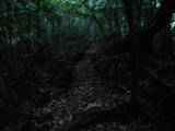 薩摩 上山城の写真