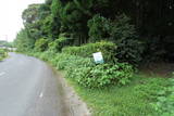 薩摩 山崎城の写真