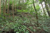 薩摩 山崎城の写真