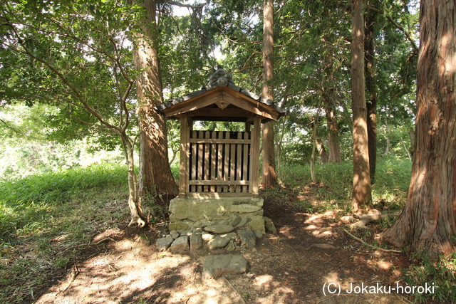 摂津 芥川城(山城)の写真