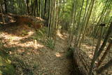 摂津 芥川城(山城)の写真