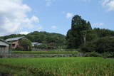 摂津 芥川城(山城)の写真