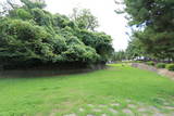摂津 有岡城の写真