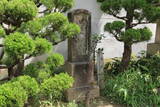 摂津 有岡城 上臈塚砦の写真