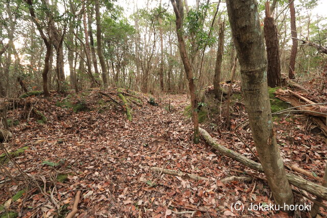 摂津 宅原城の写真